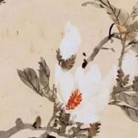 九个斗的男人命运婚姻 男人手上几个斗最好命