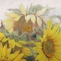 能量号码选手机号码 天医磁场助运靓号