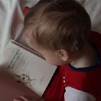 建议，以2022年命名的老虎婴儿，是建议的，优雅和诗意