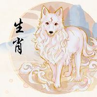 2022年狗最繁荣的月份