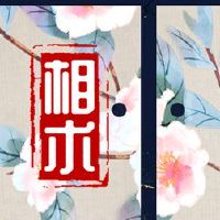 妇女脸部疤痕在下巴的影响