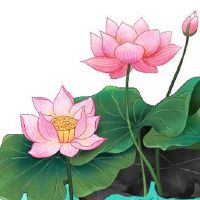 2022年属虎本命年佩戴什么好 本命年戴猪饰品转运