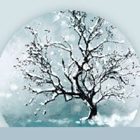 立夏节气养生吃什么 鸡蛋养生喝茶保健