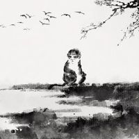 在未来十年，猴子在未来十年的未来十年中。