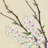 公司与草与一家有草的公司