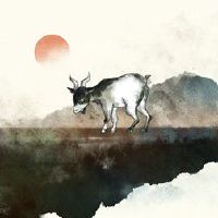 1991年属羊的转折点在哪，91年属羊未来哪一年运势比较好