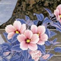 电话数字能量 手机尾号四位数表示什么