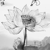 属虎1998城头土命详解 适合做新兴自媒体工作