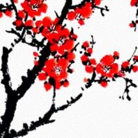 双耳贴脑的女人超级聪明 双耳贴脑的女人嫁贵夫