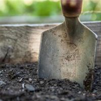 挖掘宝藏的梦想