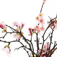 有寓意的水产公司名免费 好口碑的海鲜水产名推荐