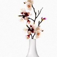 簸箕多好还是斗多好 斗与簸箕判断命运好坏