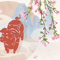 猪人在老虎的年份，2022年，桃花，属于猪人在2022年的情绪运输如何。