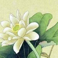 火字旁的店名寓意最好的 吉祥旺财店铺起名