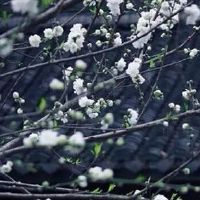 2022年属牛在5月份财运好不好 5月份有破财风险吗