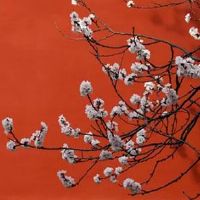 2022年5月属鼠人财运好吗 有发财机遇吗