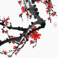 身上带阴债的孩子表现 身上有阴债如何化解