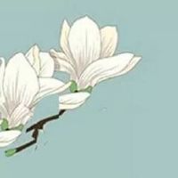 耳朵又薄又小怎么化解 事业蒸蒸日上