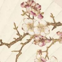 非富即贵的六颗痣 右眉有痣一生无忧