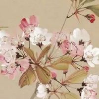 养猪场取什么名字最恰当 朗朗上口企业名字推荐