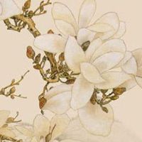 好听的食品网店名字大全 个性高尚的食品公司名