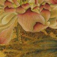 免费选手机号码 手机尾号234好不好