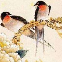 女人用手机号尾数几好 最新版旺运靓号