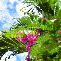 2019年2月27日生日，2019年2月27日