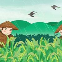 2022年，山谷是几分钟，几分，2022年，一个虎宝宝出生在山谷？