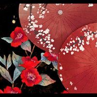 5月2022年5月，黄岛姬日本探究是美好的一天。