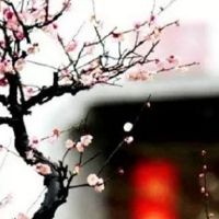 2022年5月份生肖牛爱情运势怎么样 感情运旺盛吗