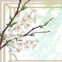 适用于裁缝店的商店名称反映人格和特点