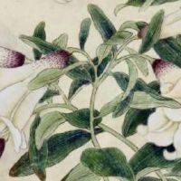 做生意必定红火的名字大全 寓意美好助运店铺名字