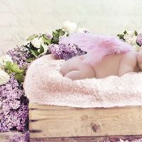 新生出生于2022年的第17届，新生名称角色是消极的。