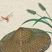 2022年端午节前后宝宝起名 这天生小孩名字精选