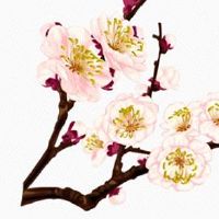 武曲在夫妻宫新解释 有武曲的人是怎么样的