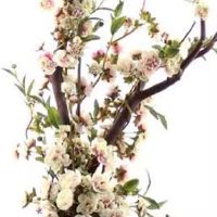 最火的农牧业公司起名大全 吉利讨喜的农牧业名推荐