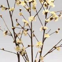 农业公司必定红火的名字 最新农业公司起名推荐