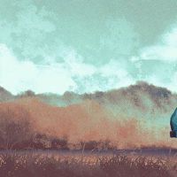 牌照号码38是好的，38个同名山脉