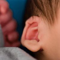 十二次，耳朵，kuar，耳鸣，tintebore？