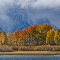 2019年5月26日出生的双胞胎女孩的名称是什么？五个要素是什么？