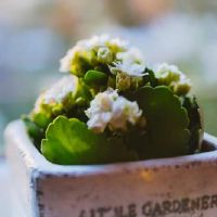 不愿意平庸，三大立交会敢于战斗，注定要大！