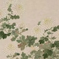 婚车车牌号尾数是7好还是9好 最吉利的婚车车牌号