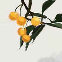 2022年6月1日出生属虎女宝宝是什么命理 生活富有 福禄皆有