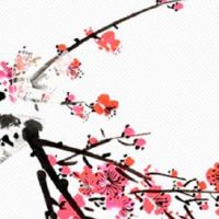 没有耳垂却很有福气的人 双耳有垂做事顺风顺水