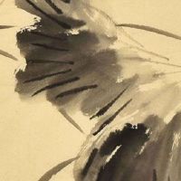 顺口的生鲜公司名字精选 最新版生鲜企业名大全