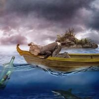 这四个星座的弃权是什么？有污渍还是缺乏热情？