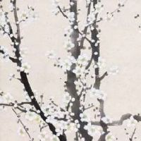 神仙转世都是什么命 八字命局有华盖神仙转世