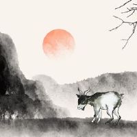 这位大人一般都在宝宝的几个月内出生。