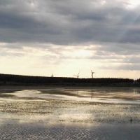 在2019年萧兔不幸的时候如何转让，当兔子在2019年不幸的时候如何转移